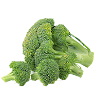 تولید - محصول