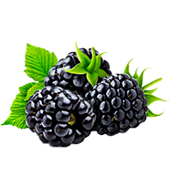 تولید - محصول