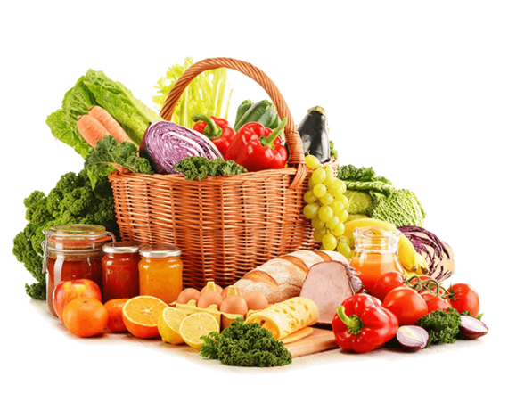 فهرست مطالب